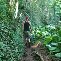 Photos de jackson taylor