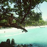 Kelvin Kalt的照片