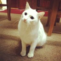 Phuong Thao Le的照片