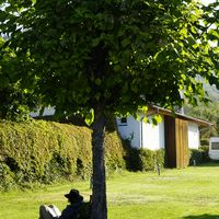 Joe Seserman's Photo