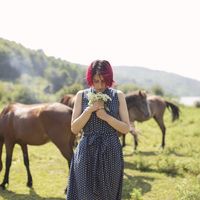 Farnoosh Nik的照片