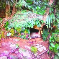 Denus William's Photo