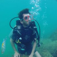 meysam daskar's Photo