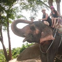 Photos de Ayadi Achraf