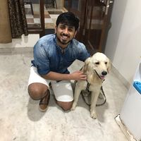 Fotos de Kashish Saluja