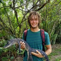 Zdjęcia użytkownika Roman  Sologor