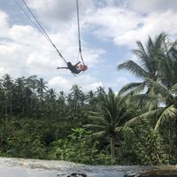 Photos de Shu  Cao Mo