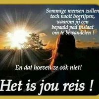 Leroy van Damme的照片