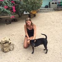 Lara Teuner的照片