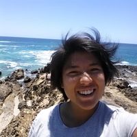 Fotos de Yinghua Zhang