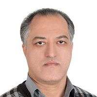 Majid Hosseini's Photo