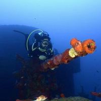 Maria Fernanda Falcão's Photo