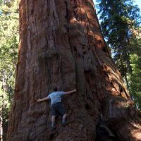 Andrew Shetterly's Photo