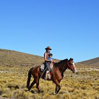 Angela Milli's Photo