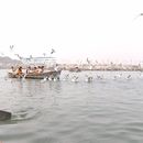 Bilder von Mahakumbh Sangam 