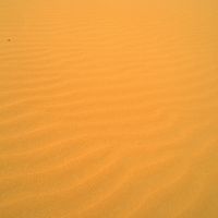 Veronika Vitanyi's Photo