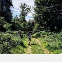 Hubert Schlink的照片