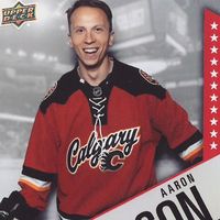 Aaron Nelson的照片