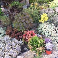 Ana Martinez's Photo