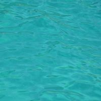 Giuseppe Gianno's Photo