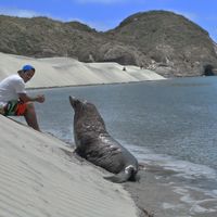 Fotos von Ferran Pallares Gorriz