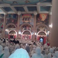 rahwa yohannes's Photo