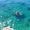 Giancarlo Procaccianti's Photo