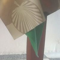 Edoardo Spata's Photo