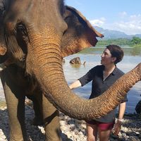 Emily Miller的照片