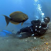 Kilian Treps的照片