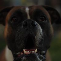 Pablo Paredes的照片