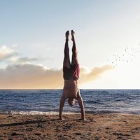 Faruk Branković的照片