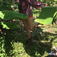 Lauren Biedel's Photo