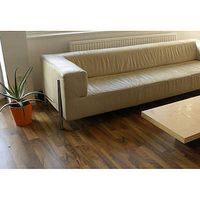 Michael Galasch的照片