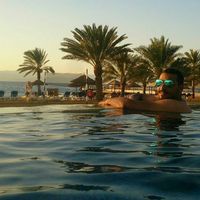 Abdelhameed Omari的照片