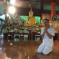 Fotos de Stephen Koh