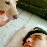 De Ticantti De Do Pingüe的照片