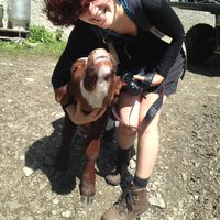 Laura S. Herman的照片