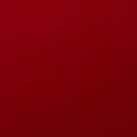 Andrea Vignando's Photo