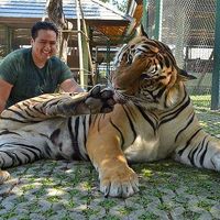 Marko Capayachi's Photo