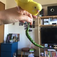 Natsuko Maeda's Photo