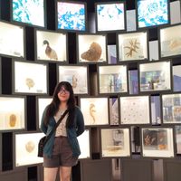 Marianna B. Chomsky's Photo