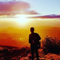 Allan "AP" Rey的照片