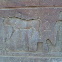 Felix Meier的照片