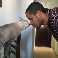 Michael Aloizio's Photo