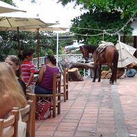 Photos de Utopia vallartum