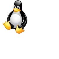 alper ketenci的照片