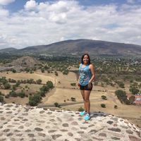 Gatito De Bello Bello的照片