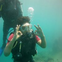 Ankit Dhyani's Photo