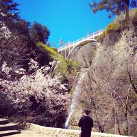 Farid Ismailov's Photo